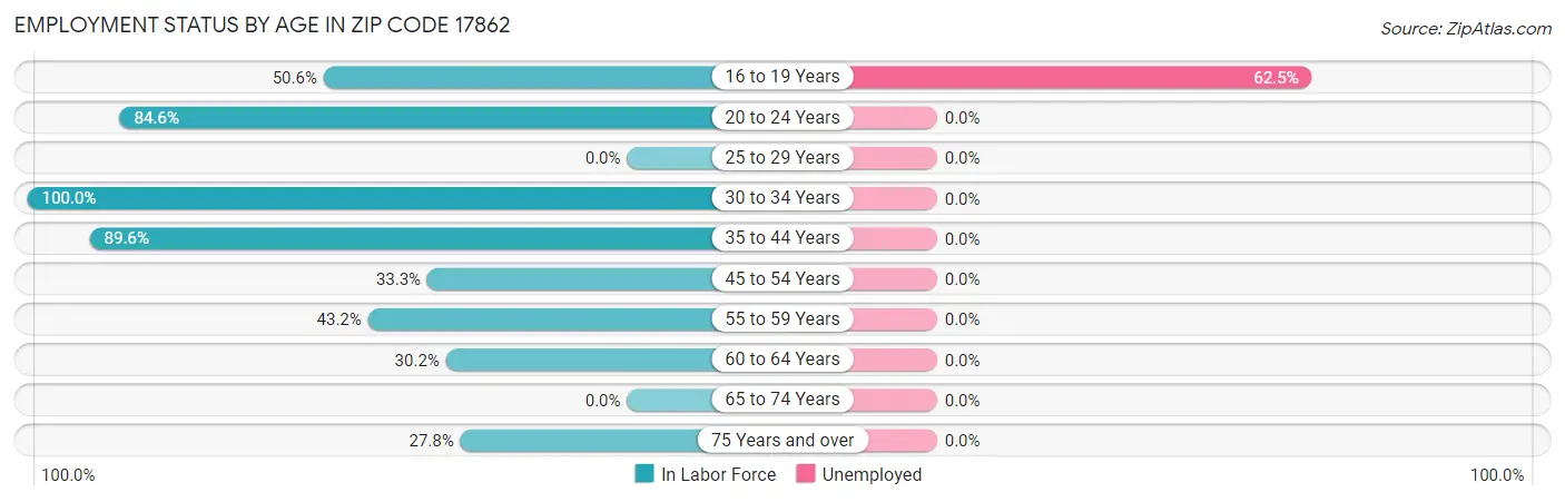 Employment Status by Age in Zip Code 17862