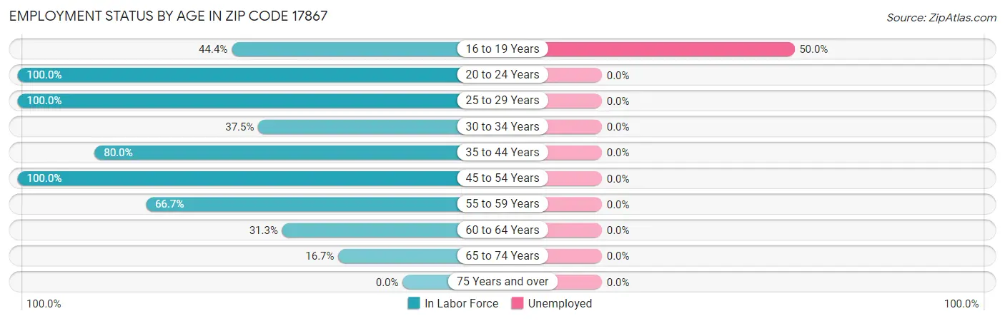 Employment Status by Age in Zip Code 17867