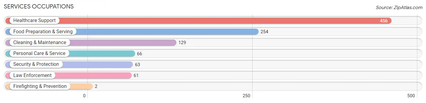 Services Occupations in Zip Code 17872