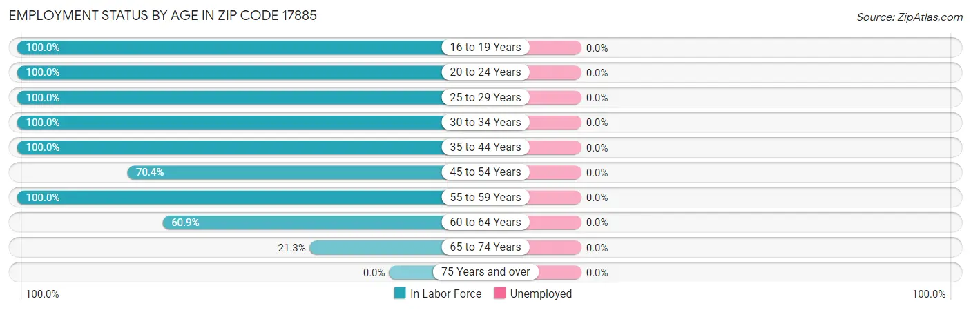 Employment Status by Age in Zip Code 17885