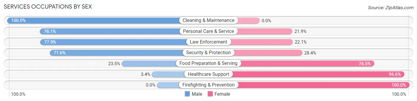 Services Occupations by Sex in Zip Code 17921