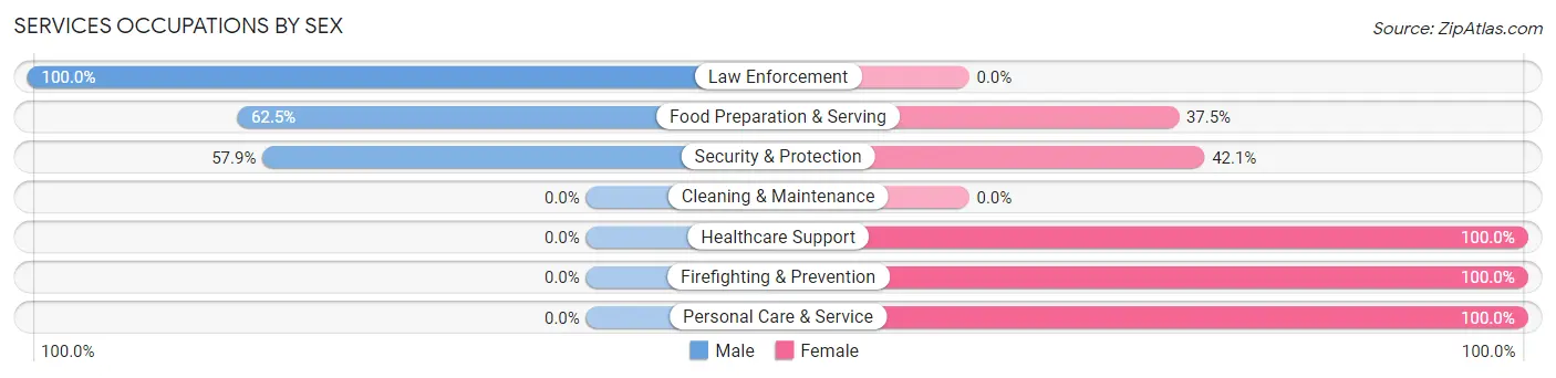 Services Occupations by Sex in Zip Code 17953