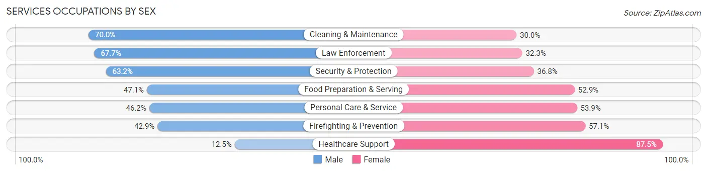 Services Occupations by Sex in Zip Code 17967
