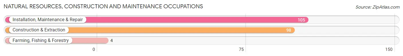 Natural Resources, Construction and Maintenance Occupations in Zip Code 17981