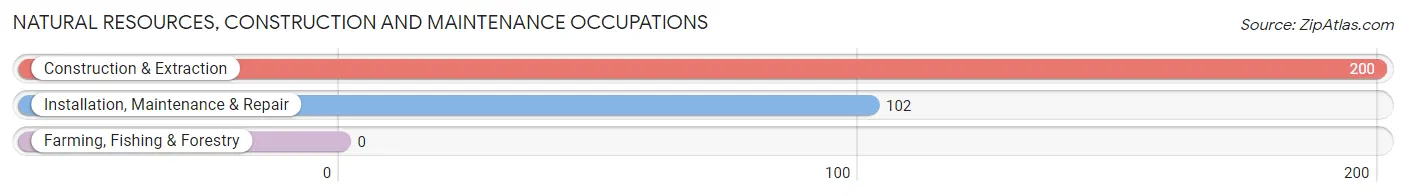 Natural Resources, Construction and Maintenance Occupations in Zip Code 18031