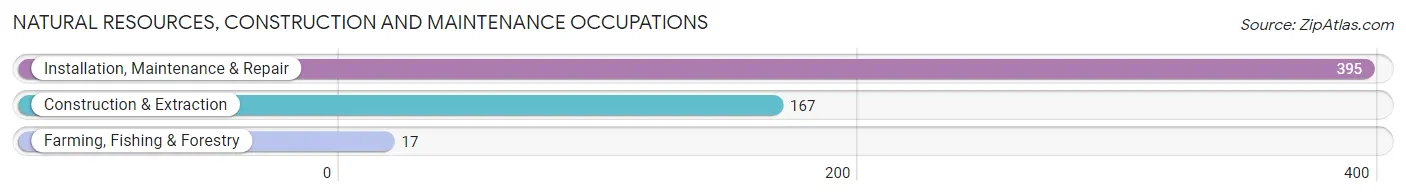 Natural Resources, Construction and Maintenance Occupations in Zip Code 18036