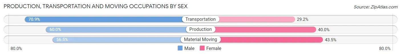 Production, Transportation and Moving Occupations by Sex in Zip Code 18038