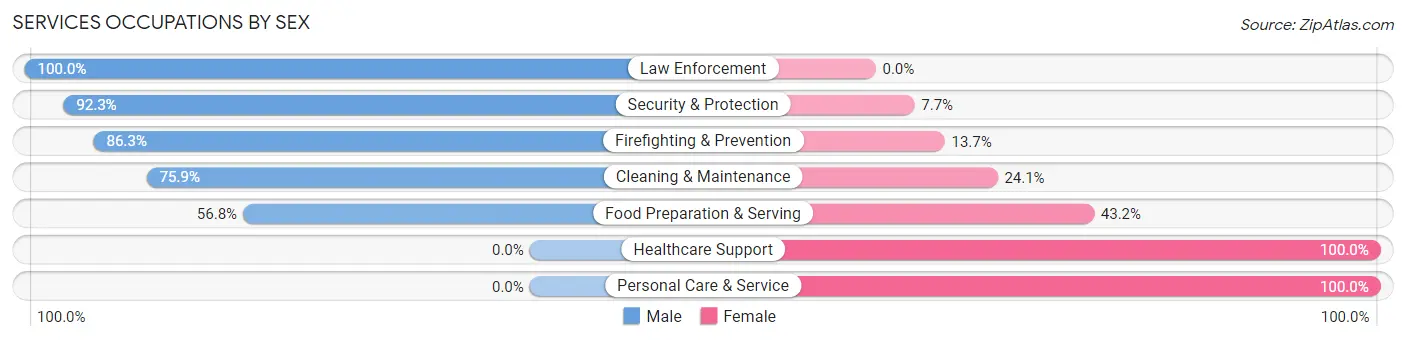 Services Occupations by Sex in Zip Code 18040