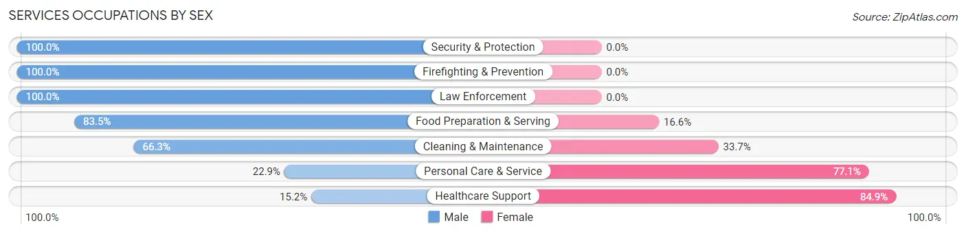 Services Occupations by Sex in Zip Code 18054