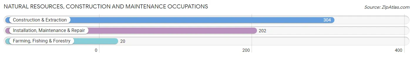 Natural Resources, Construction and Maintenance Occupations in Zip Code 18055