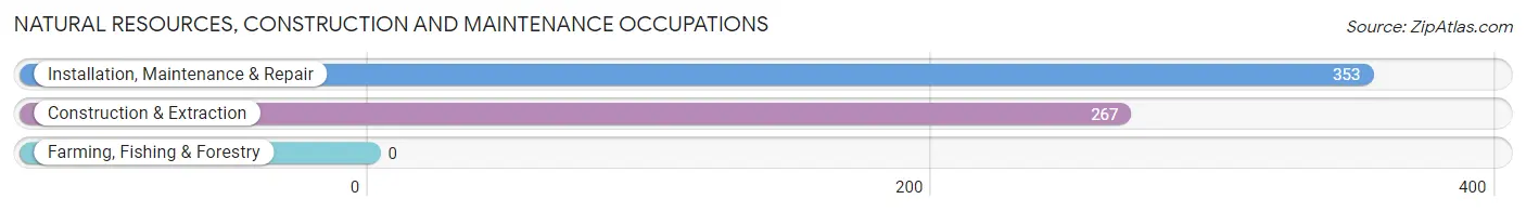 Natural Resources, Construction and Maintenance Occupations in Zip Code 18062