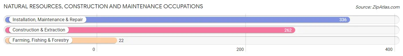 Natural Resources, Construction and Maintenance Occupations in Zip Code 18080