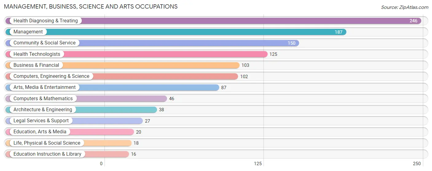 Management, Business, Science and Arts Occupations in Zip Code 18101