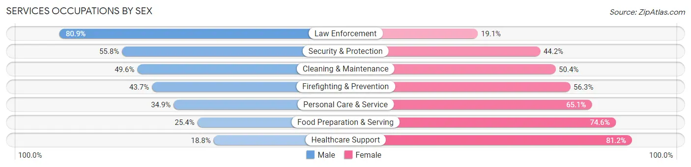Services Occupations by Sex in Zip Code 18103