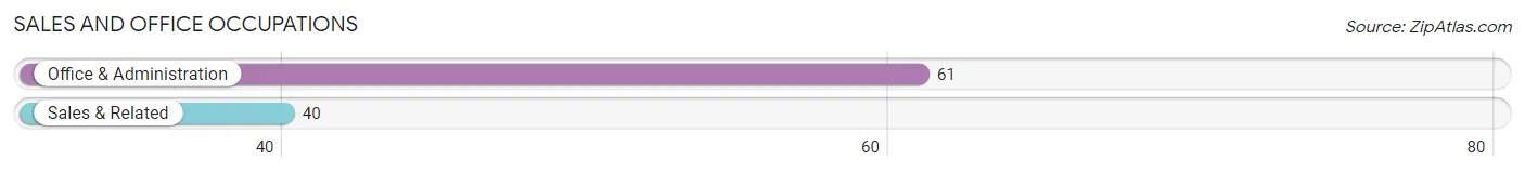 Sales and Office Occupations in Zip Code 18211