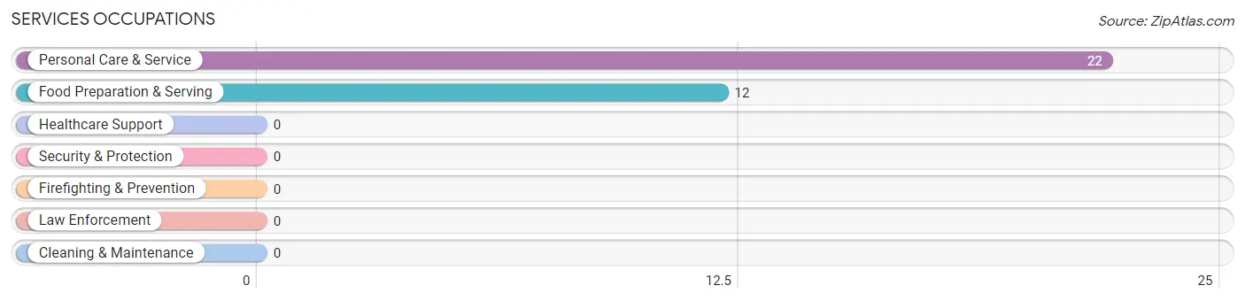 Services Occupations in Zip Code 18211