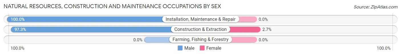 Natural Resources, Construction and Maintenance Occupations by Sex in Zip Code 18214