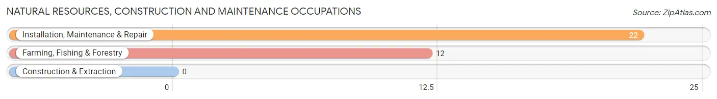 Natural Resources, Construction and Maintenance Occupations in Zip Code 18219