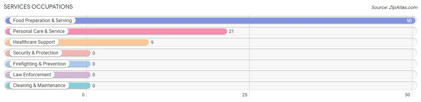 Services Occupations in Zip Code 18219