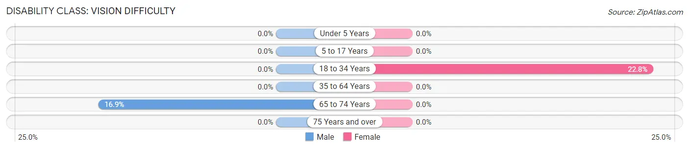 Disability in Zip Code 18219: <span>Vision Difficulty</span>