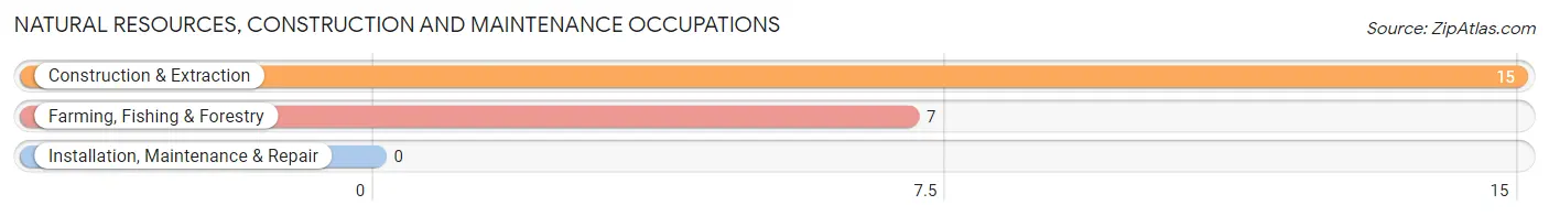 Natural Resources, Construction and Maintenance Occupations in Zip Code 18241