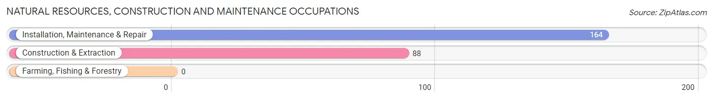 Natural Resources, Construction and Maintenance Occupations in Zip Code 18324