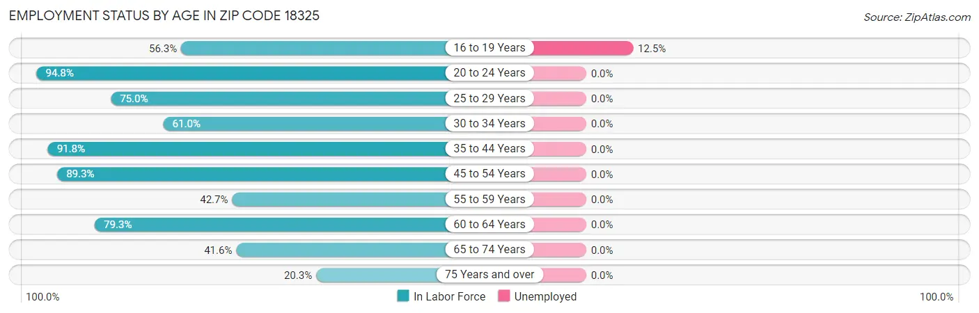 Employment Status by Age in Zip Code 18325