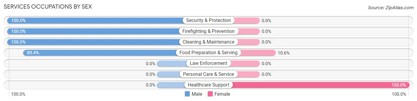 Services Occupations by Sex in Zip Code 18325