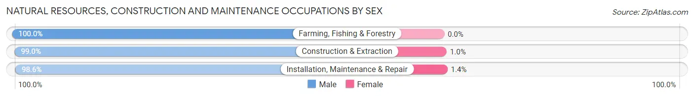 Natural Resources, Construction and Maintenance Occupations by Sex in Zip Code 18407