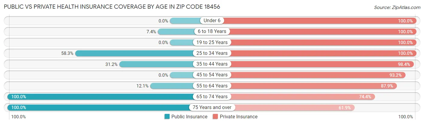 Public vs Private Health Insurance Coverage by Age in Zip Code 18456