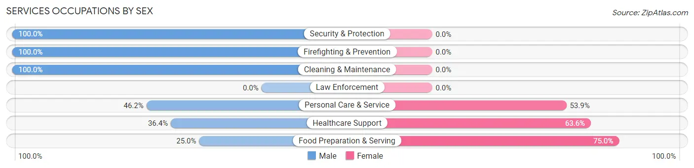Services Occupations by Sex in Zip Code 18462