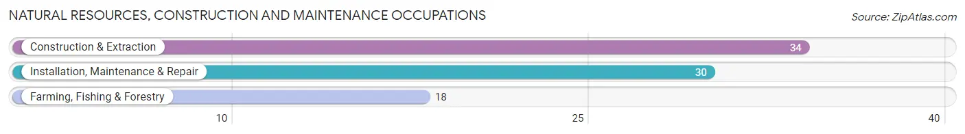 Natural Resources, Construction and Maintenance Occupations in Zip Code 18507