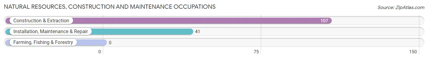 Natural Resources, Construction and Maintenance Occupations in Zip Code 18518