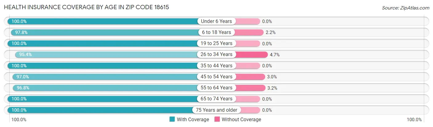 Health Insurance Coverage by Age in Zip Code 18615