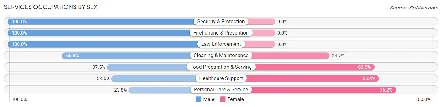 Services Occupations by Sex in Zip Code 18635