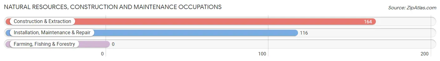 Natural Resources, Construction and Maintenance Occupations in Zip Code 18644