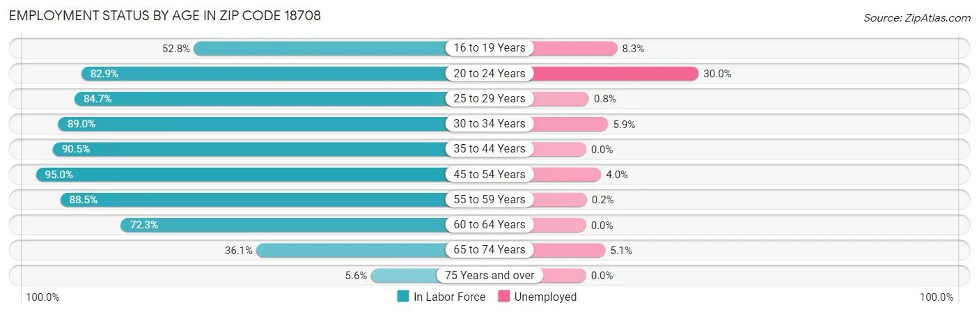 Employment Status by Age in Zip Code 18708