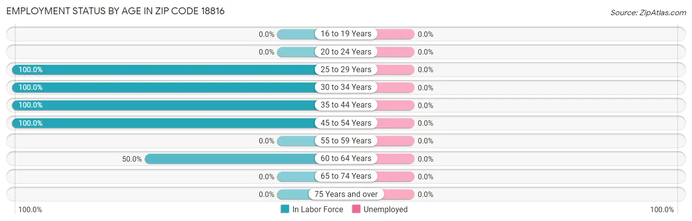 Employment Status by Age in Zip Code 18816