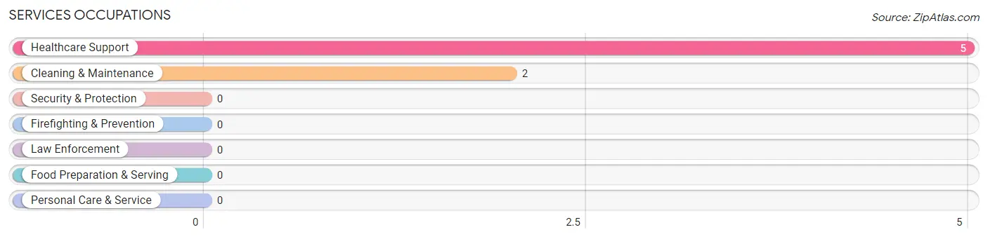 Services Occupations in Zip Code 18825