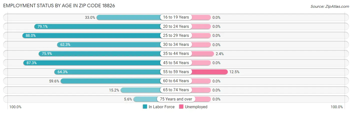 Employment Status by Age in Zip Code 18826