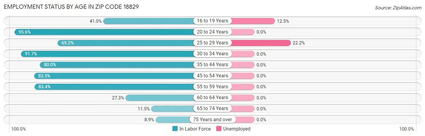 Employment Status by Age in Zip Code 18829