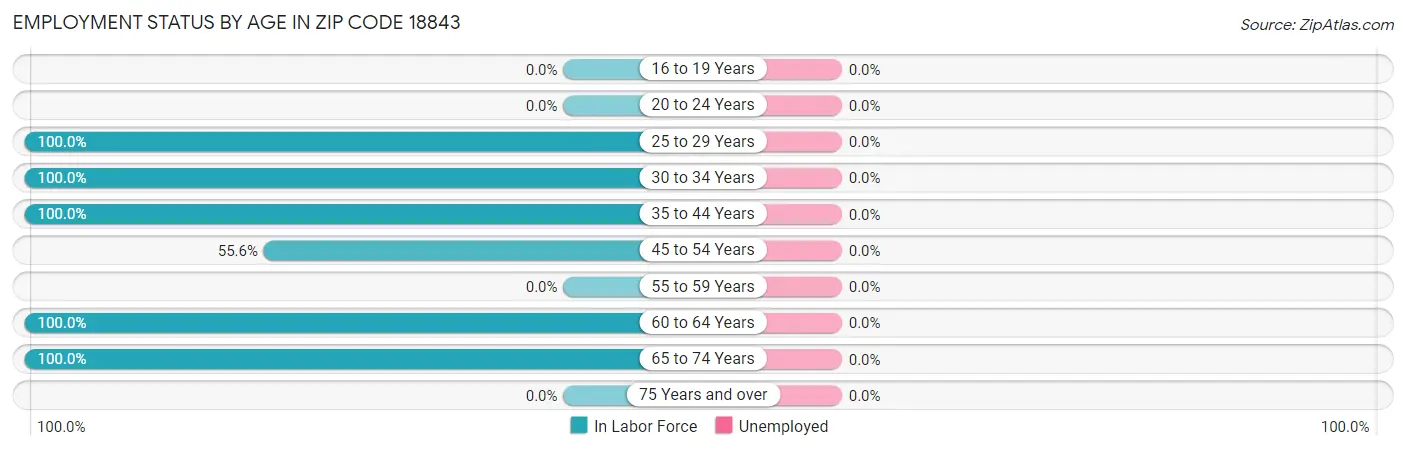 Employment Status by Age in Zip Code 18843
