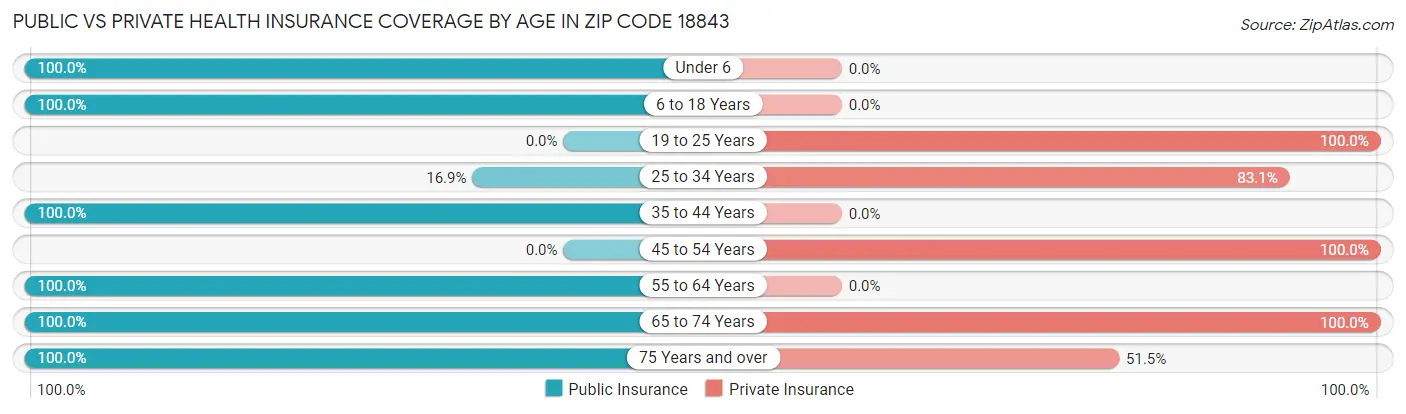 Public vs Private Health Insurance Coverage by Age in Zip Code 18843