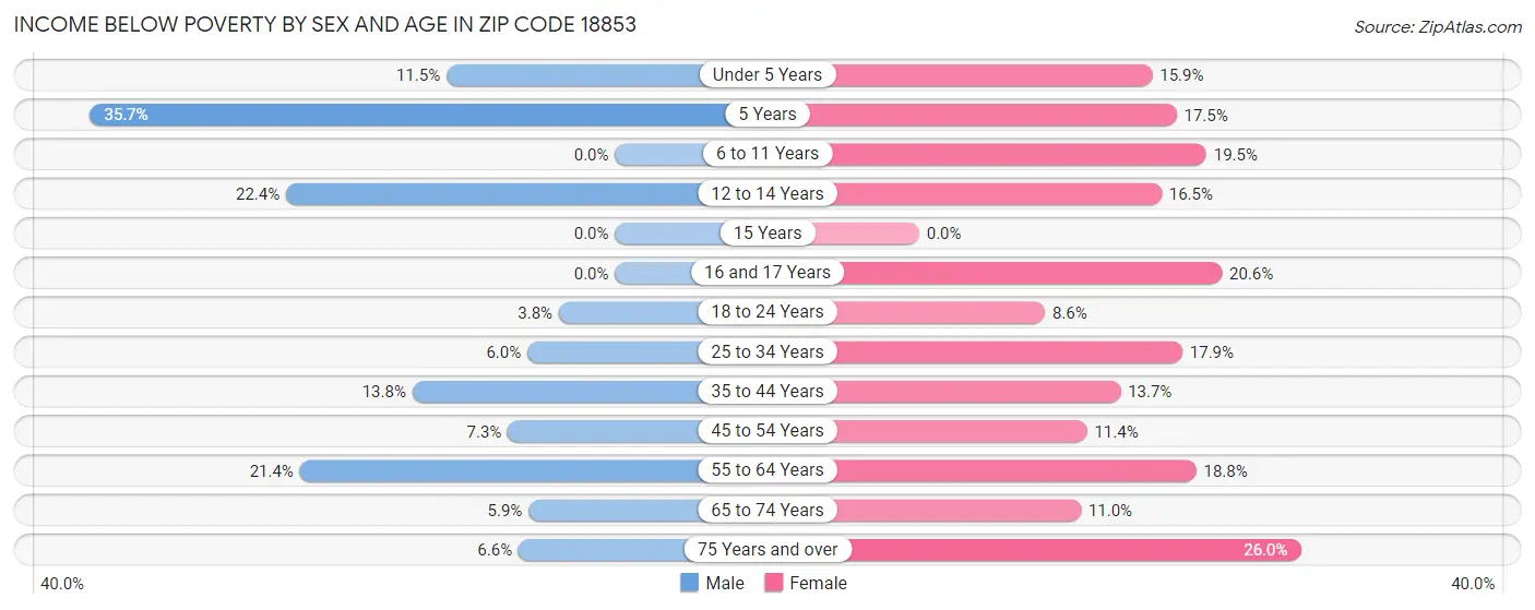 Income Below Poverty by Sex and Age in Zip Code 18853