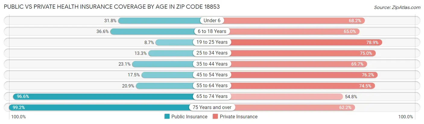 Public vs Private Health Insurance Coverage by Age in Zip Code 18853