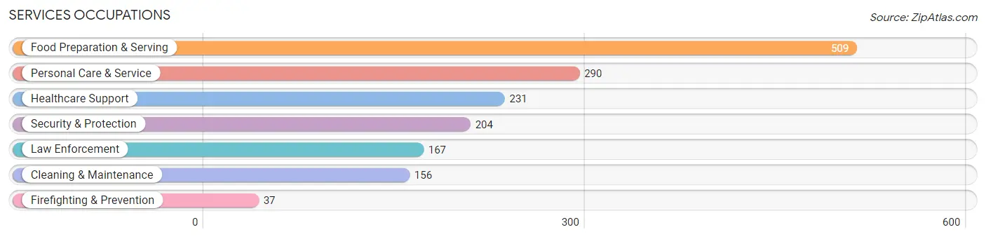 Services Occupations in Zip Code 18914