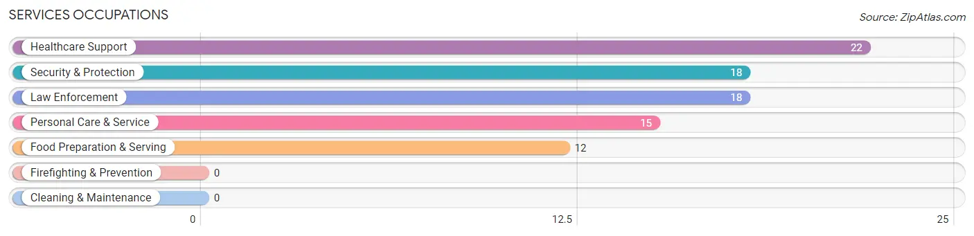 Services Occupations in Zip Code 18915