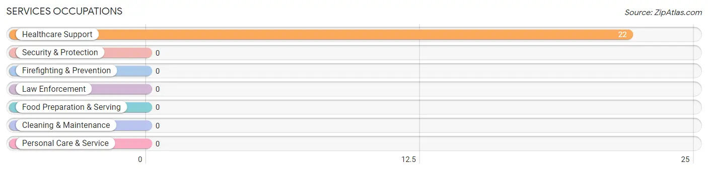 Services Occupations in Zip Code 18921