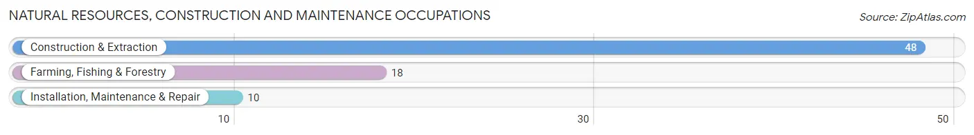 Natural Resources, Construction and Maintenance Occupations in Zip Code 18923