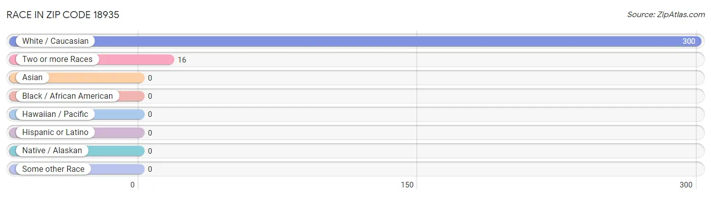 Race in Zip Code 18935